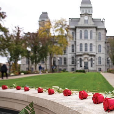Red roses lined up on a ledge in the foreground with a building blurred in the background.